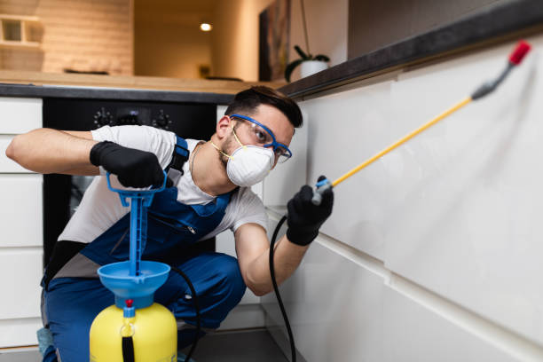 Best Pest Control for Businesses  in Willow Springs, MO
